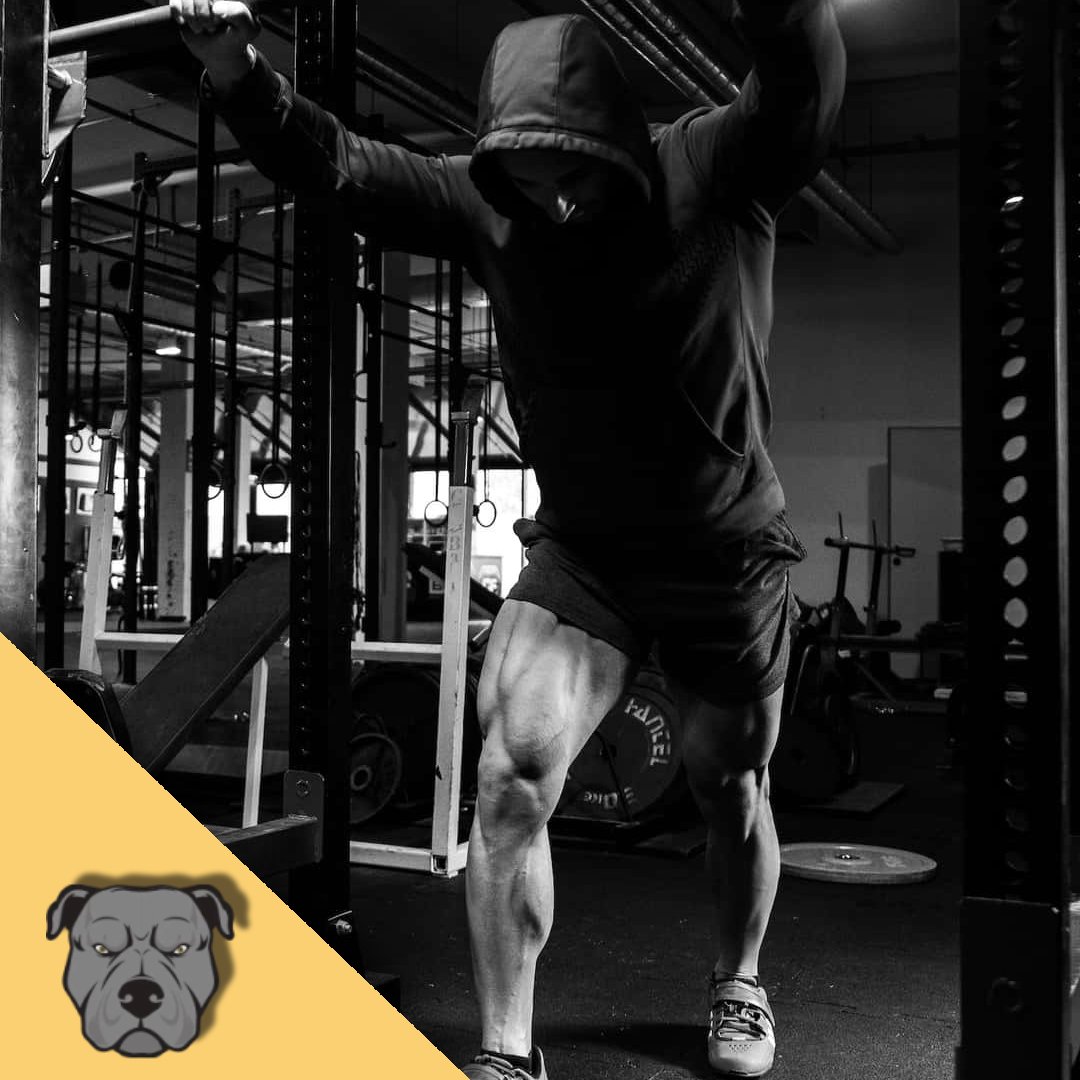 Pitbull Suplementos - Creatinas, Proteinas y mucho más