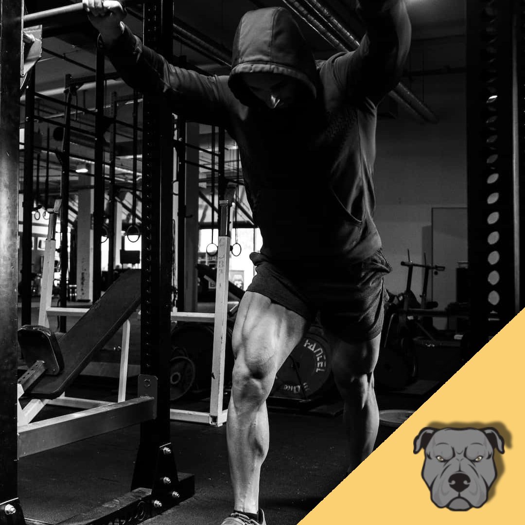 Pitbull Suplementos - Creatinas, Proteinas y mucho más